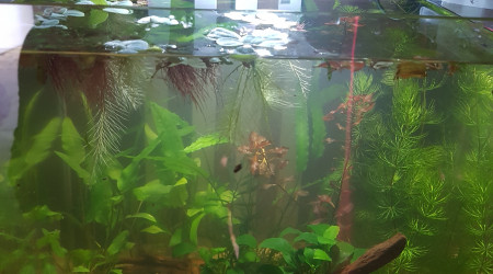 Petite évolution...