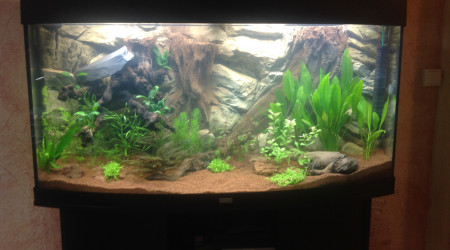 aquarium Juwel vision 260