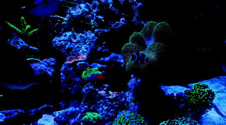 Petite évolution des couleurs