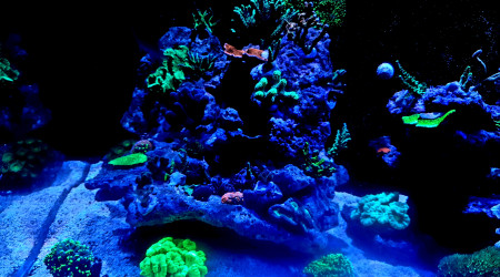 Petite évolution des couleurs