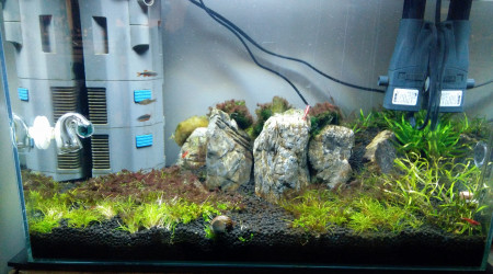 Les Trois Pucelles: symphony of destruction