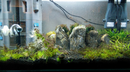 Les Trois Pucelles: symphony of destruction