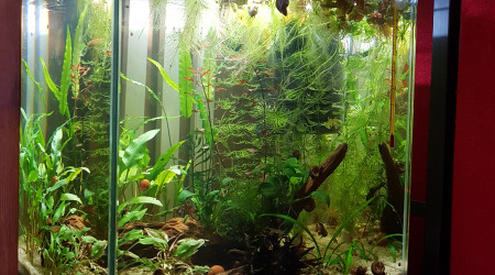 Lendemain de nettoyage