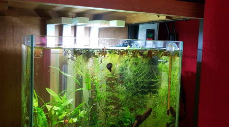 Lendemain de nettoyage