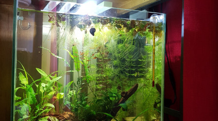 Lendemain de nettoyage