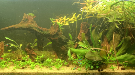 Octobre vue d’ensemble