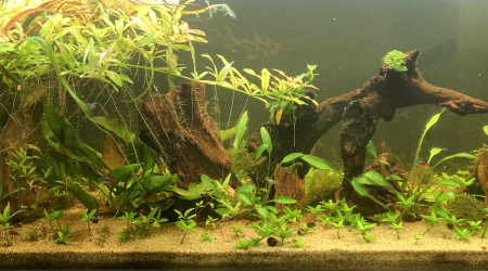 Octobre vue d’ensemble