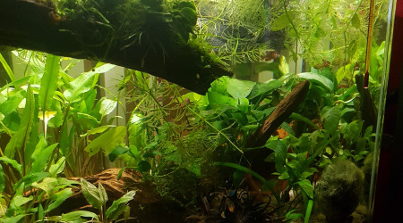 Petites photos du matin...