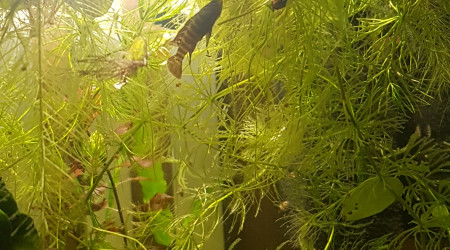 Petites photos du matin...