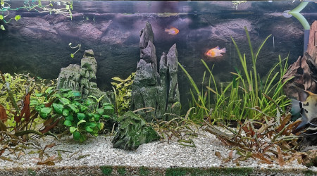 aquarium bac 250l