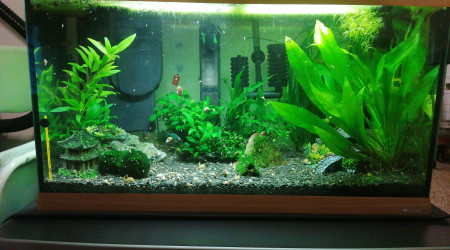 aquarium Ferplast Dubai 120l