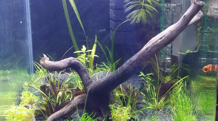 Ajout du dispositif co2 le 24-10, 1ères bulles ce matin.