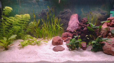 aquarium bac 200l