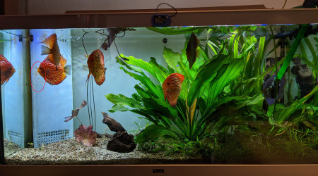 Déménagement - Premier Jour J