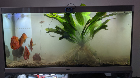 Déménagement - Jour J (2)