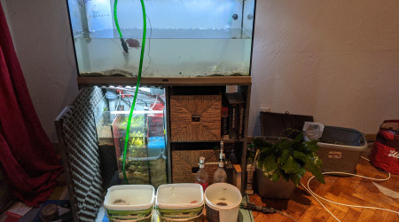 Déménagement - Jour J (2)