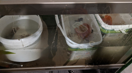 Déménagement - Jour J (2)