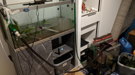 Déménagement - Jour J (2)