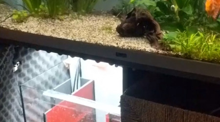 Installation de la décante