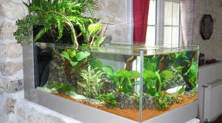 1er aquarium