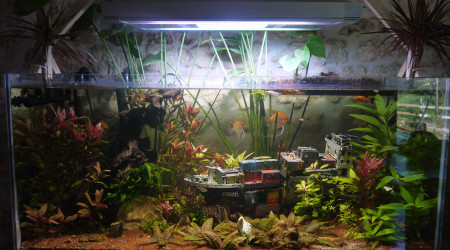 aquarium 350L