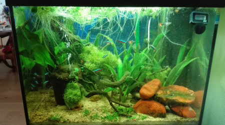 aquarium Mon LIDO 120