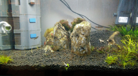 Les Trois Pucelles: Symphony of destruction, and reconstruction