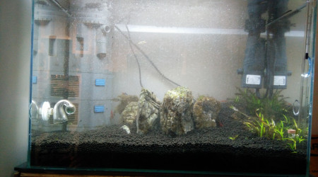 Les Trois Pucelles: Symphony of destruction, and reconstruction