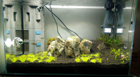 Les Trois Pucelles: Symphony of destruction, and reconstruction