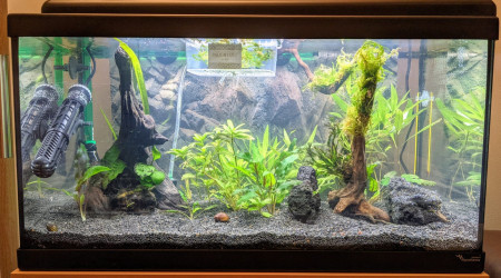 Aquatlantis BioLED 60