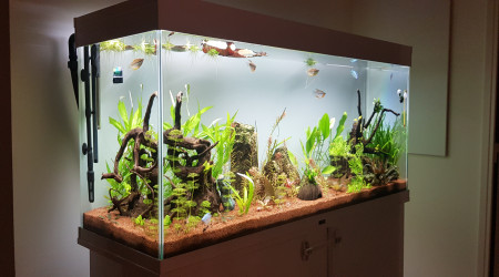 Photo du soir bonsoir