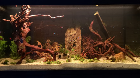 aquarium aquavelva