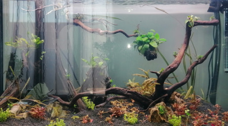 aquarium Ama240