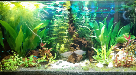 Nouvel éclairage led arrivé