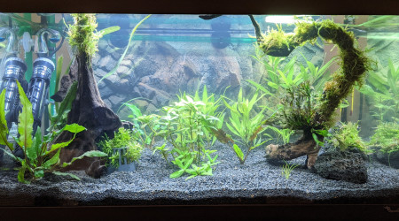 Sur la Route des Laves