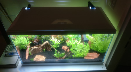 Capo + filtre externe