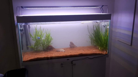 Nouvel éclairage, nouvelle disposition