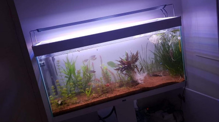 Nouvel éclairage, nouvelle disposition