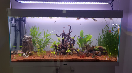 Nouvel éclairage, nouvelle disposition