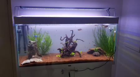 Nouvel éclairage, nouvelle disposition