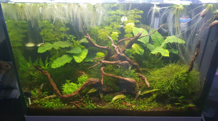 Le Bac au 11 Novembre