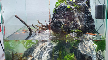 Nouveaux 30l cascade