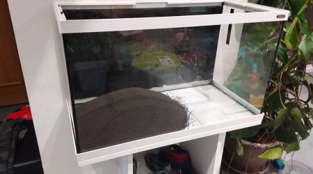 Mise en place du sol.