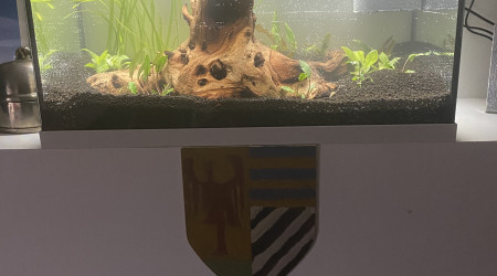 aquarium 70l