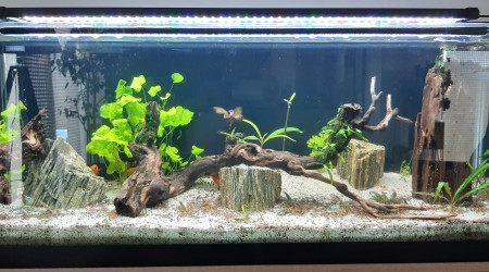 aquarium AquaPlouf 120L