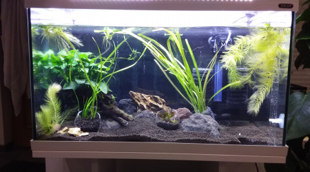 En attente de réception des mousses