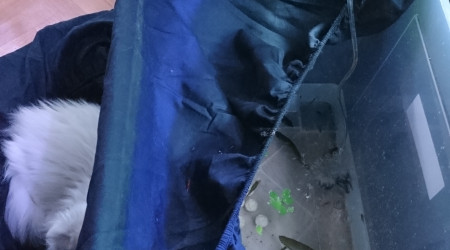 JE VIENS DE FAIRE UNE ÉNORME CONNERIE