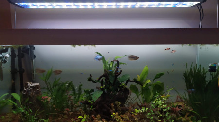 Entretien hebdomadaire