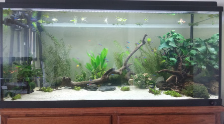 aquarium Aqua2020