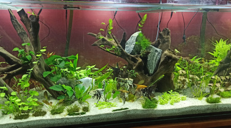 Retour des Scalaires